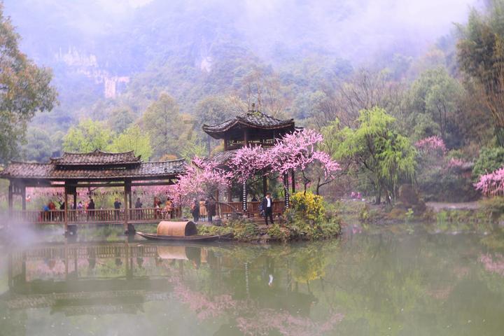 燃烧吧大脑装瓶子游戏